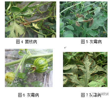 臺州農資 臺州農資