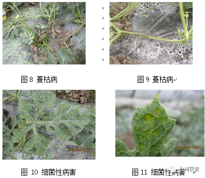 臺州農資 臺州農資