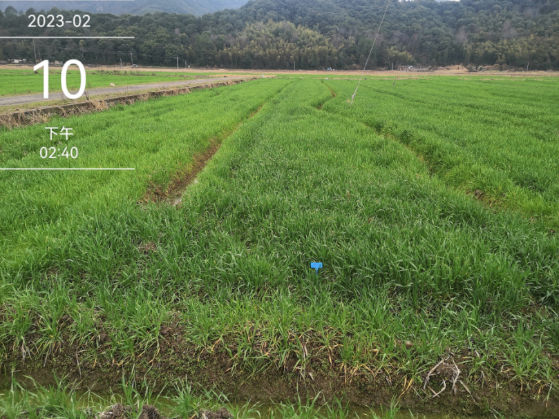 1721701485354022.png 1721701485354022.png